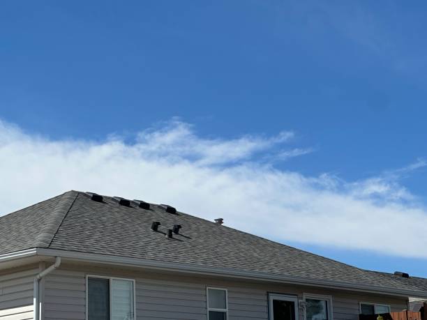 Best Roof Ventilation Installation  in Pineville, NC